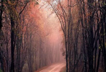 开云体育在线-布白克浦的逆风之旅：连败困局与反弹希望