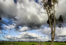 开云体育在线-上海绿地黄金再下一城！双引擎驱动下的稳赢法则