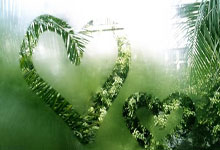 开云平台-温州男篮：草根逆袭的荣耀之路，钢铁意志点燃瓯江之畔