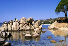 开云体育-西悉尼流浪者核心球员体能恢复，备战布宜诺斯艾利斯独立