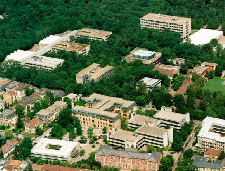 开云体育下载-柏林冲卡尔斯鲁厄斯低排，重整旗鼓球员信心的简单介绍