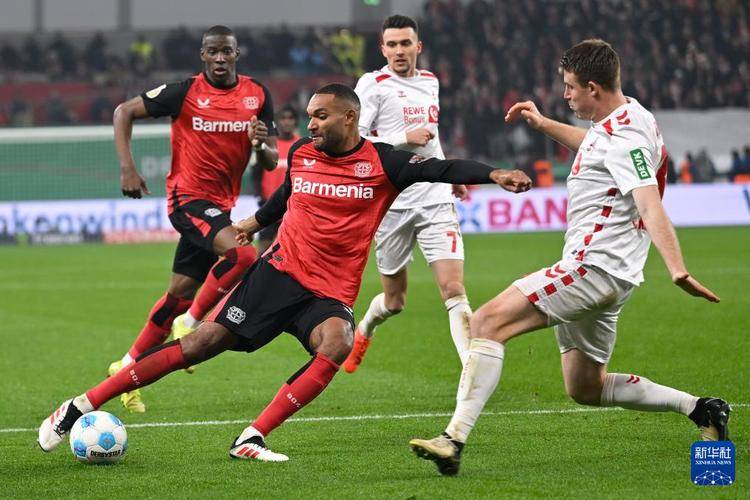 勒沃库森主场不敌对手，遭到重创的简单介绍