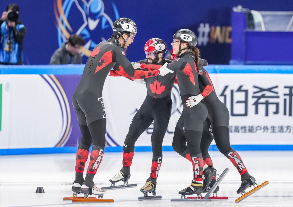 关于意大利男队击败加拿大，捍卫短道速滑荣誉的信息