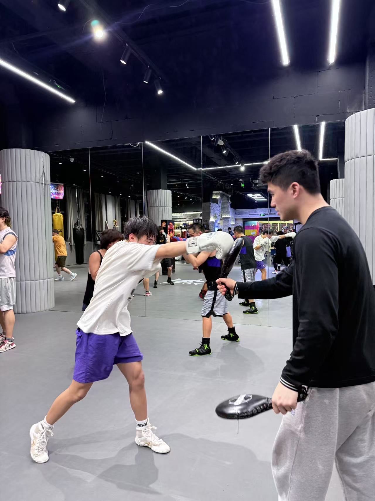 拳击选手飒爽英姿力斗拼搏金光闪闪的简单介绍