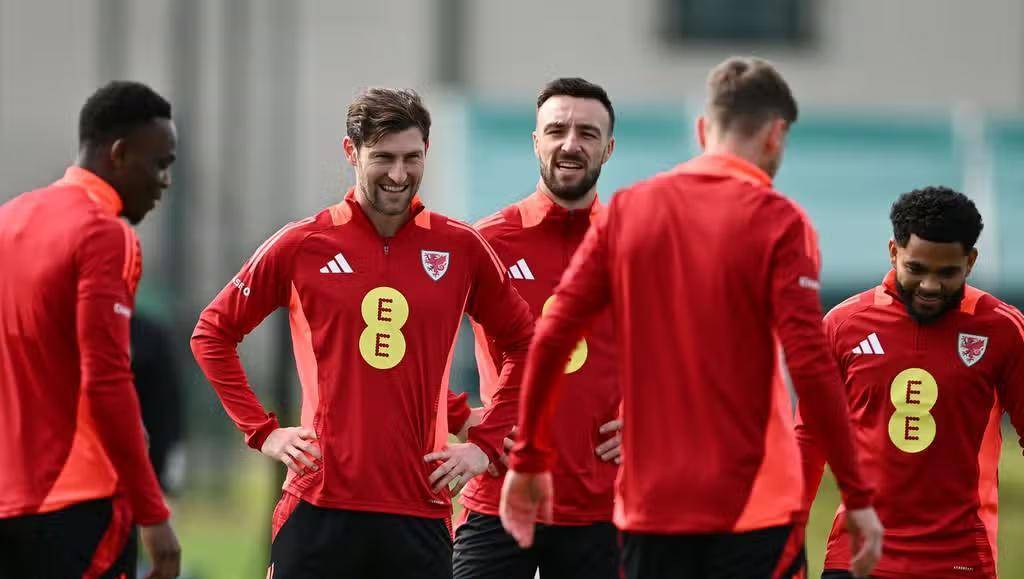 开云体育app-关于匈牙利主场负于威尔士，出线希望渺茫的信息