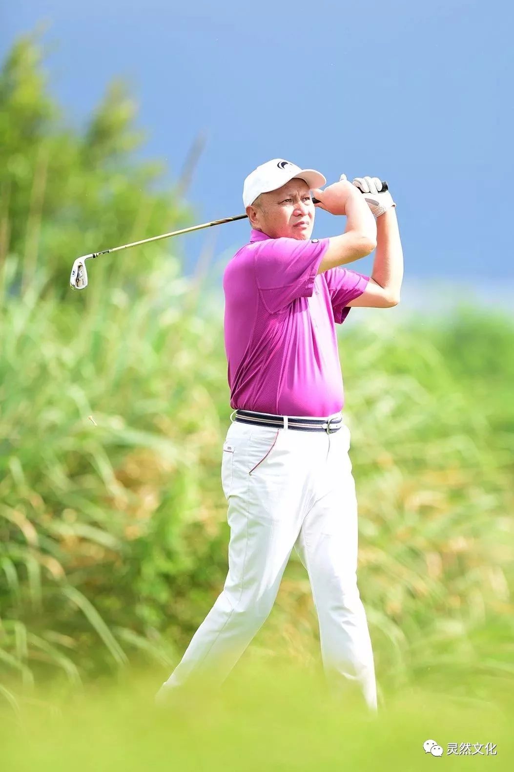 包含高尔夫队主教练发声，誓言带队登顶的词条