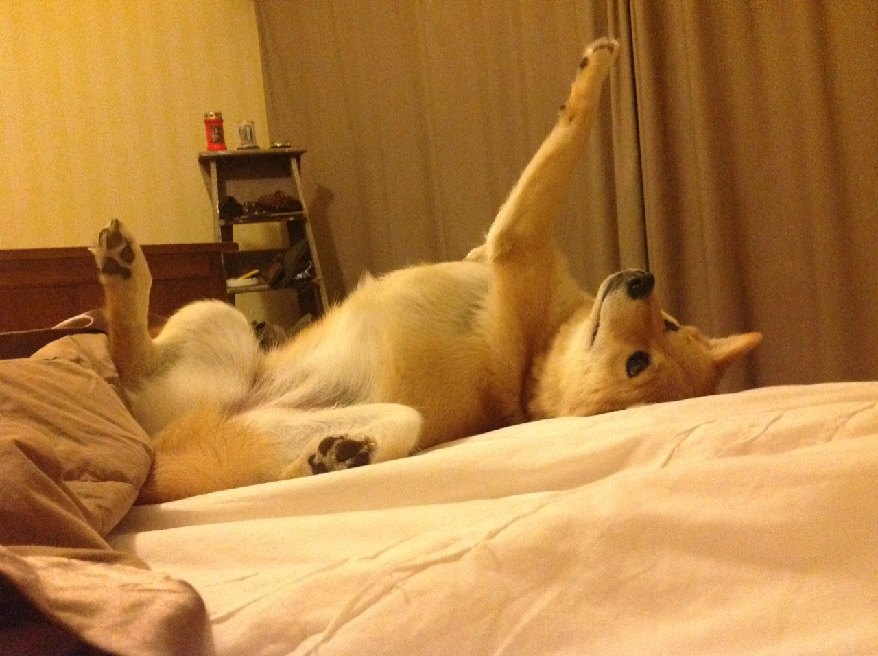 开云体育中国-压哨绝杀与大师接管，2026世界杯的双重戏剧