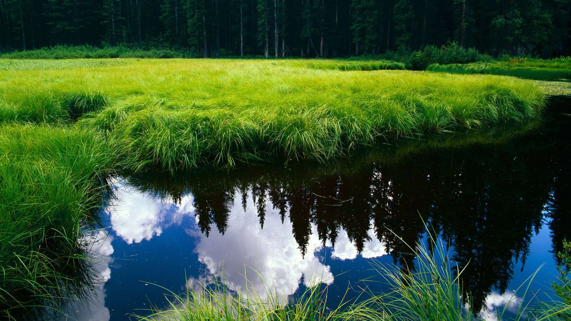 开云体育登录-约基奇节奏大师，吉林队与篮网跨界对决的完全掌控者