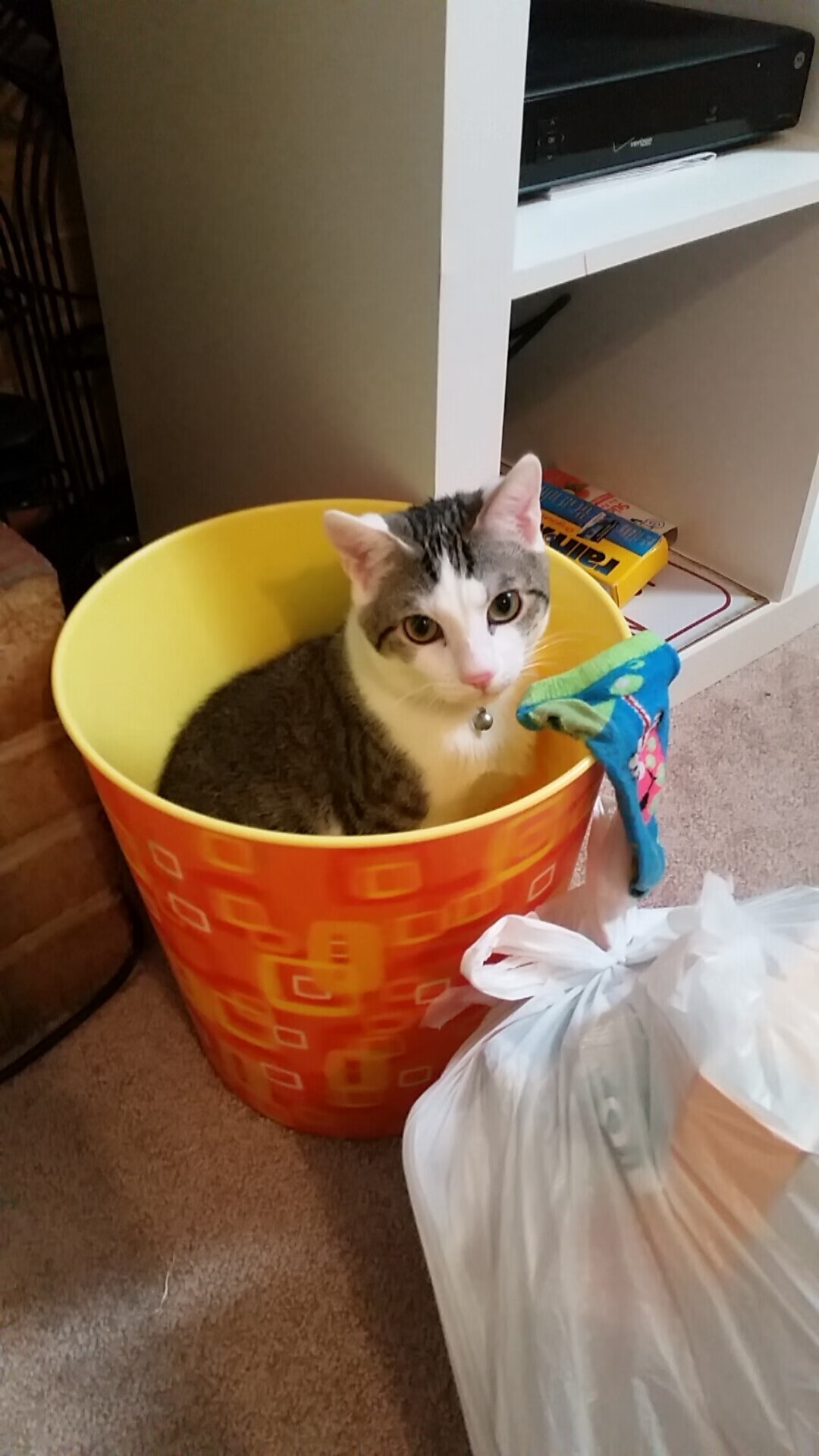 开云体育app-压力铸就辉煌，卡马文加爆发引领皇马巅峰对决战胜利拉齐奥