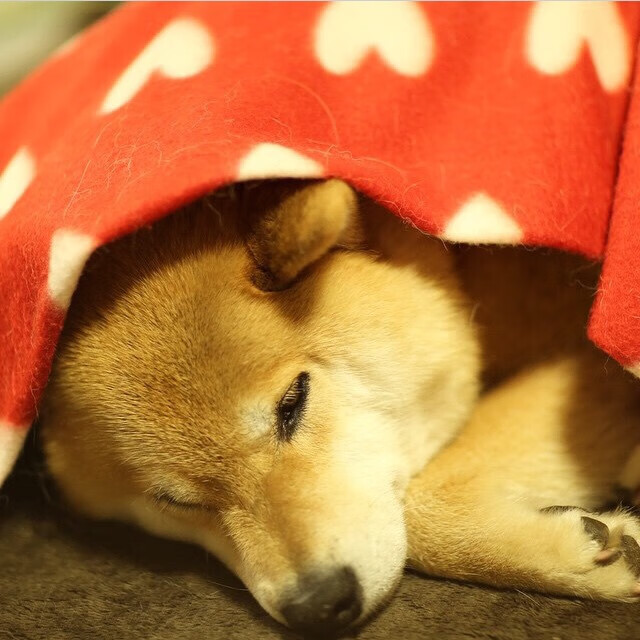 厄瓜多尔对阵委内瑞拉，当莫德里奇式节奏成为绿茵场上的终极武器