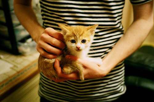 欧冠半决赛焦点战,巴黎圣日耳曼强势晋级,伊朗元素成独特亮点