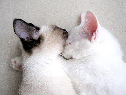 刺破排名的夜晚,李刚仁以生涯杰作撼动世界棋局