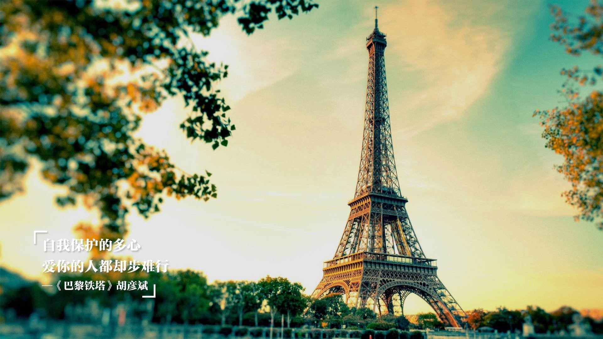 浙江队强势晋级总决赛，霍勒迪防守端锁死对手成关键