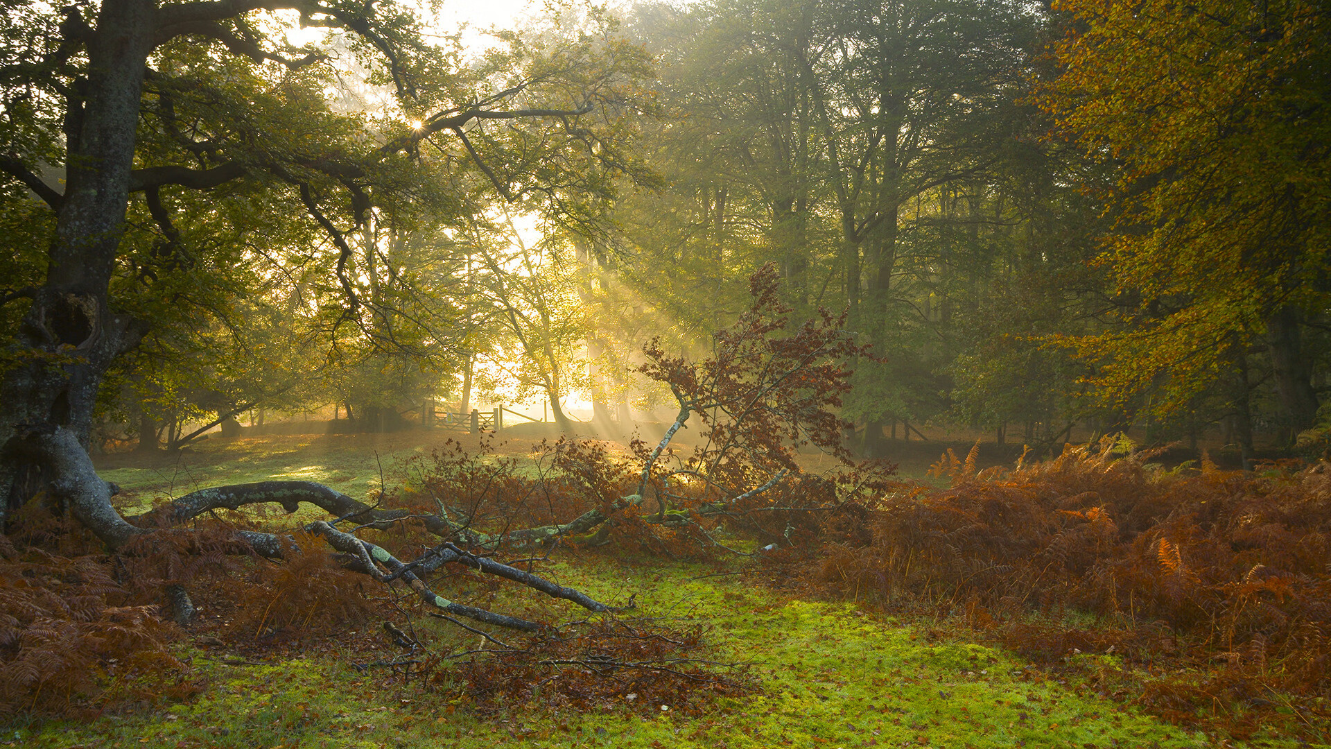 开云体育-隔海双城记，广厦收割尼克斯，小贾伦在意甲战场诠释接管艺术