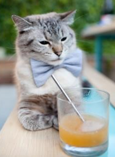 欧冠半决赛焦点战,黑马神话熔断冰川之心,亚特兰大轻取冰岛豪门