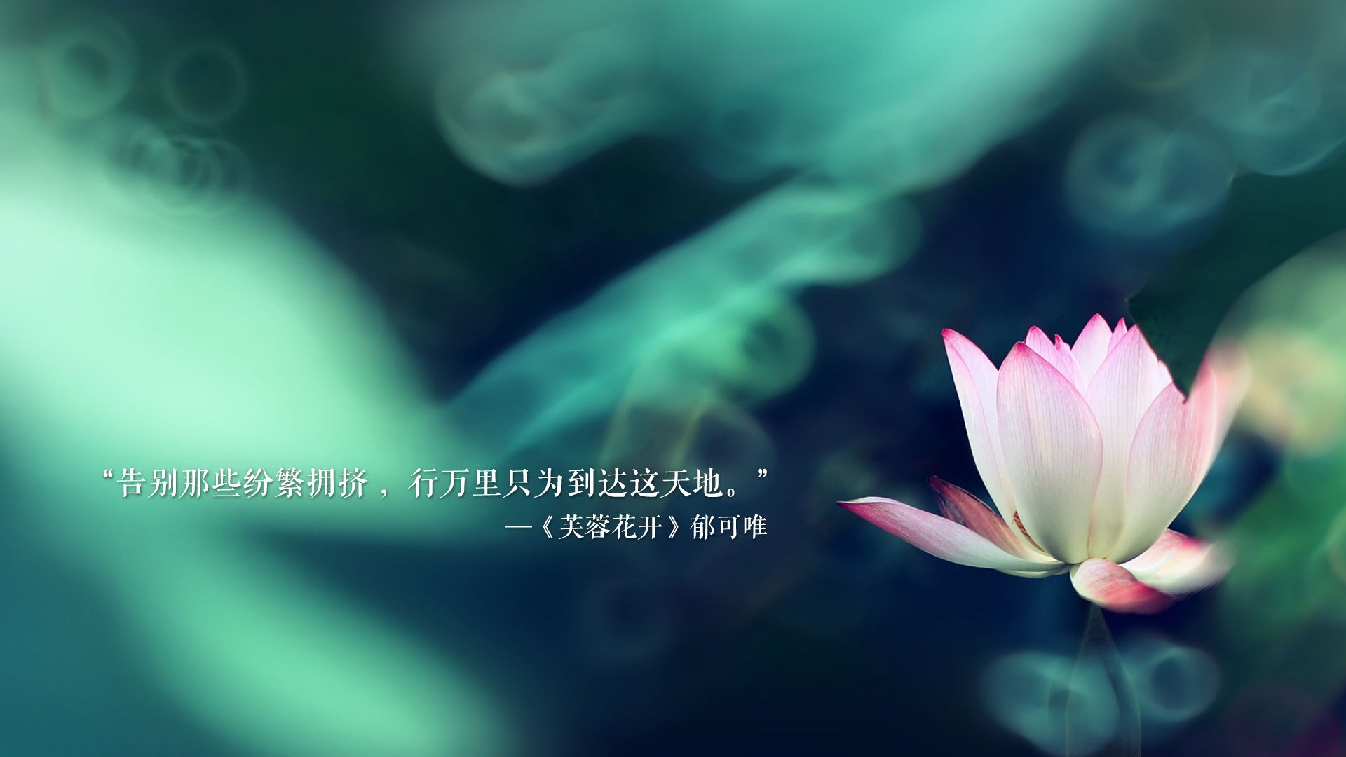 铁壁与王冠,欧洲新秩序的防守艺术与英雄觉醒