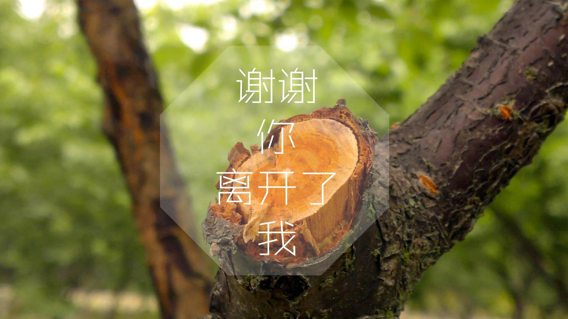 开云体育登录-西决生死战焦点战，伊朗力克洪都拉斯，晋级之路现曙光